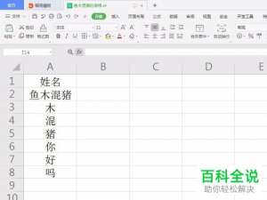 怎么在WPS表格中给单元格中部分文字添加删除线