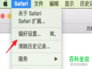 怎么在Mac苹果电脑里模拟使用IE浏览器？