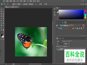 怎么在PS软件中给图片制作露水的水珠效果
