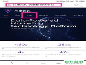 怎么在阿里妈妈中查看扣税金返还情况