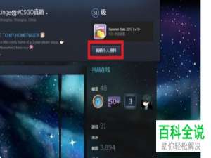 怎么在电脑steam软件的个人资料页面中完成粗体文本的添加