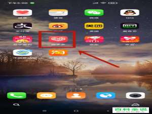 在拼多多上怎么开店卖东西