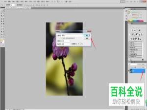 在PS软件中如何将图片放到桃心图案中？