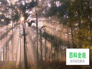 资深风景摄影师的10个建议