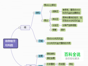 植物根茎结构思维导图模板分享