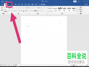 在word文档中如何打出分数形式