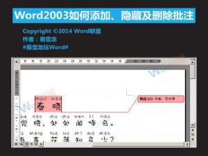 在Word2003中如何添加.隐藏及删除批注