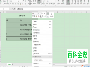 在WPS表格中边框的线条样式和颜色怎么设置