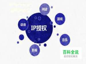 怎样查看ip地址?