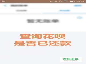 怎样看花呗借款有没有还，如何查花呗借款已还？