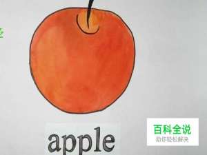 怎样快速记单词？