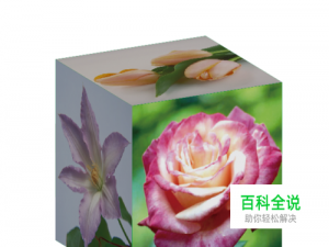 怎样利用ai软件为3D图形贴上漂亮的图片？