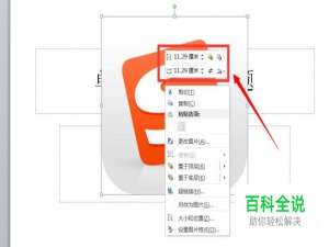 怎样实现PPT中的图片放大或缩小