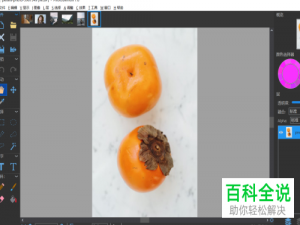 怎样使用photodemon查看图片轮廓线效果