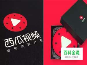 怎样下载西瓜视频