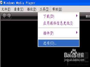 怎样用截图神器FastStone Capture截取视频的背景图片