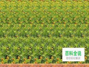 怎样用PhotoShop制作三维立体画：[3]第三章