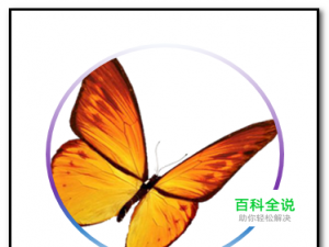 怎样在WORD文档中画出一个圆并把图片插入到圆中