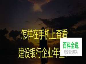 怎样在手机上查看建设银行企业年金？
