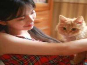 遇见你 温澜潮生 几乎每个人都听过“不