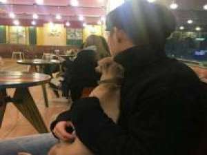 闯入我生活的人是你，