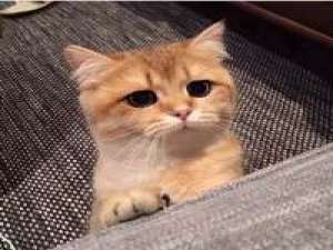 最近很懒什么都不想更?_? 一个男生可以输，但不