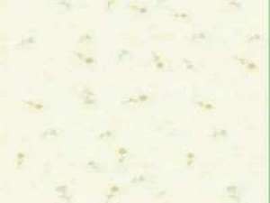 别说太晚，别爱太满 那天我落下了胃病，却