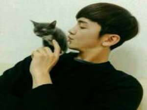 喜欢猫的男孩。 触及不到你的温柔，怎