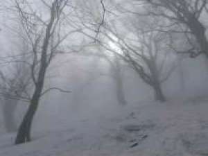 人们总说啊 吃得苦中苦 方为人上人 我并不... 真的很想时光倒流到我