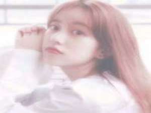 可爱情它由不得人选择 别追公交车了 追我吧