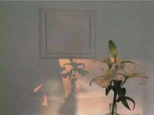 时光宛若流水.玫瑰的颜色并不消退. 放弃那个总会让你难过