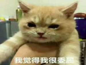 脸上的快乐，别人看得