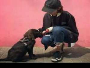 把自己媳妇当老大的男