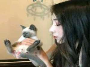 对公子可是深情喜爱。