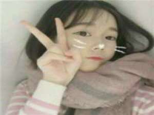 南来北往 相爱的人总是很少 不是去了南方就可以躲