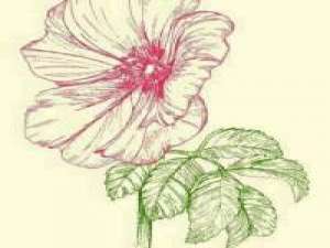 有多少人，明明爱着，