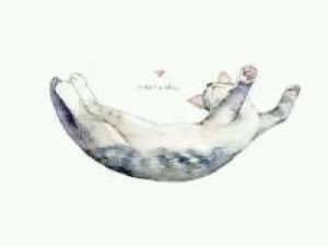 鲜花之所以会插在牛粪