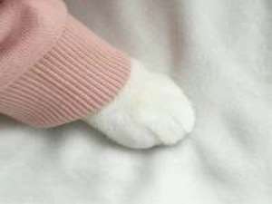 拿图给花。 忌惮的陪你个人,一定