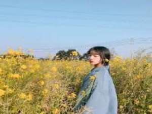 一厢情愿就该愿赌服输 不要说你不知道我的难