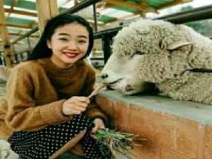 因为你值得 存在就是原罪 你的怀