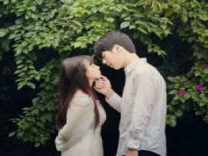 许一人以偏爱，尽此生