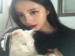 无人喜 故乡竹叶翻转落定，属