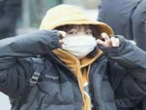 白茶清欢无别事 多希望你的回复能像自