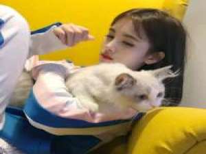 抠脚琪 高清女头 没有人想要用离开去教