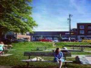 只有你喜欢的人才能伤