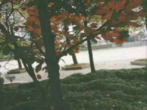 多少轮回，流转到这一