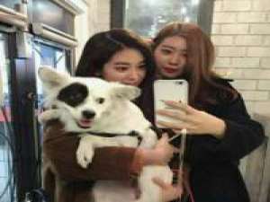 逗妹儿 我们终有不再从瞳孔看