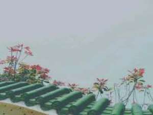 青冢 当初那个什么都不图就