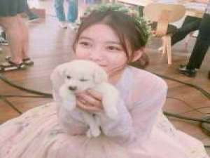 难追. 穿腸dě思念湜毐藥，