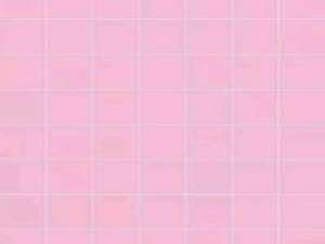 有幸识得世妻， 不要怀念任何人 走了